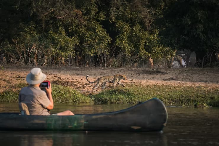 Canoeing Safaris