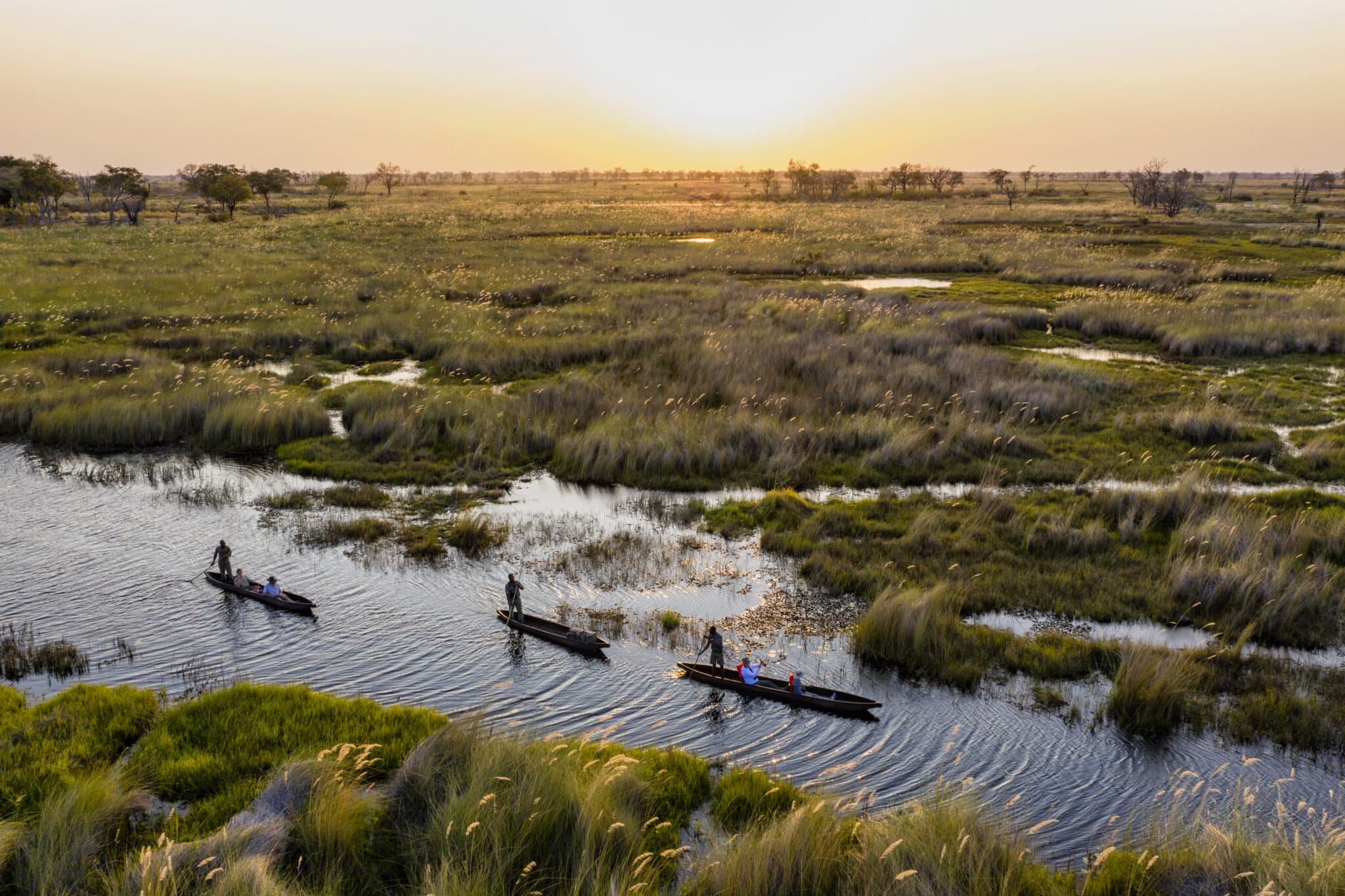 CURATED SAFARI JOURNEYS