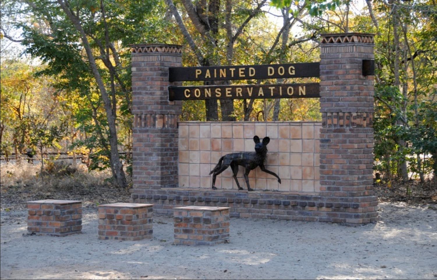 Painted Dog Research Areas