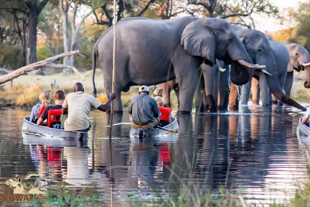 Mokoro Excursions