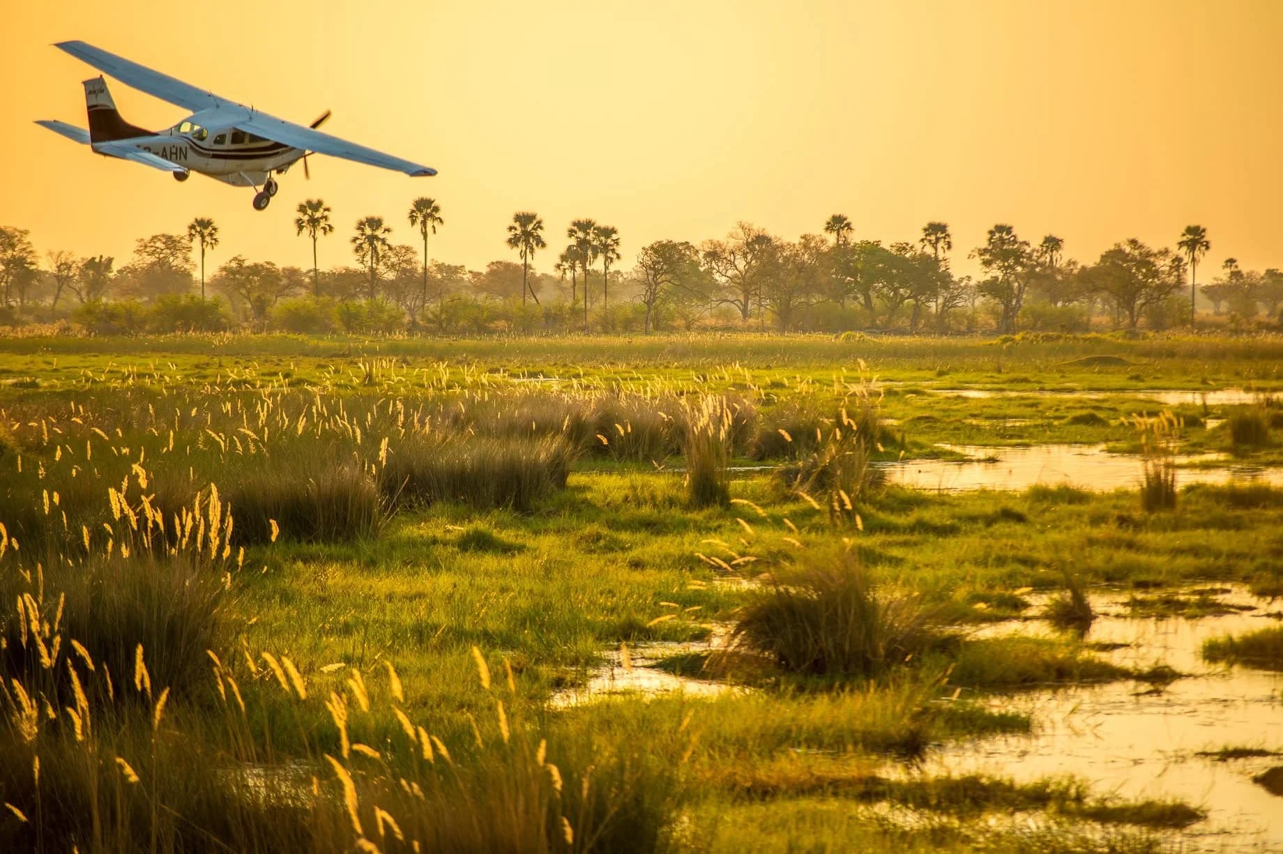 Scenic Light Aircraft Flights