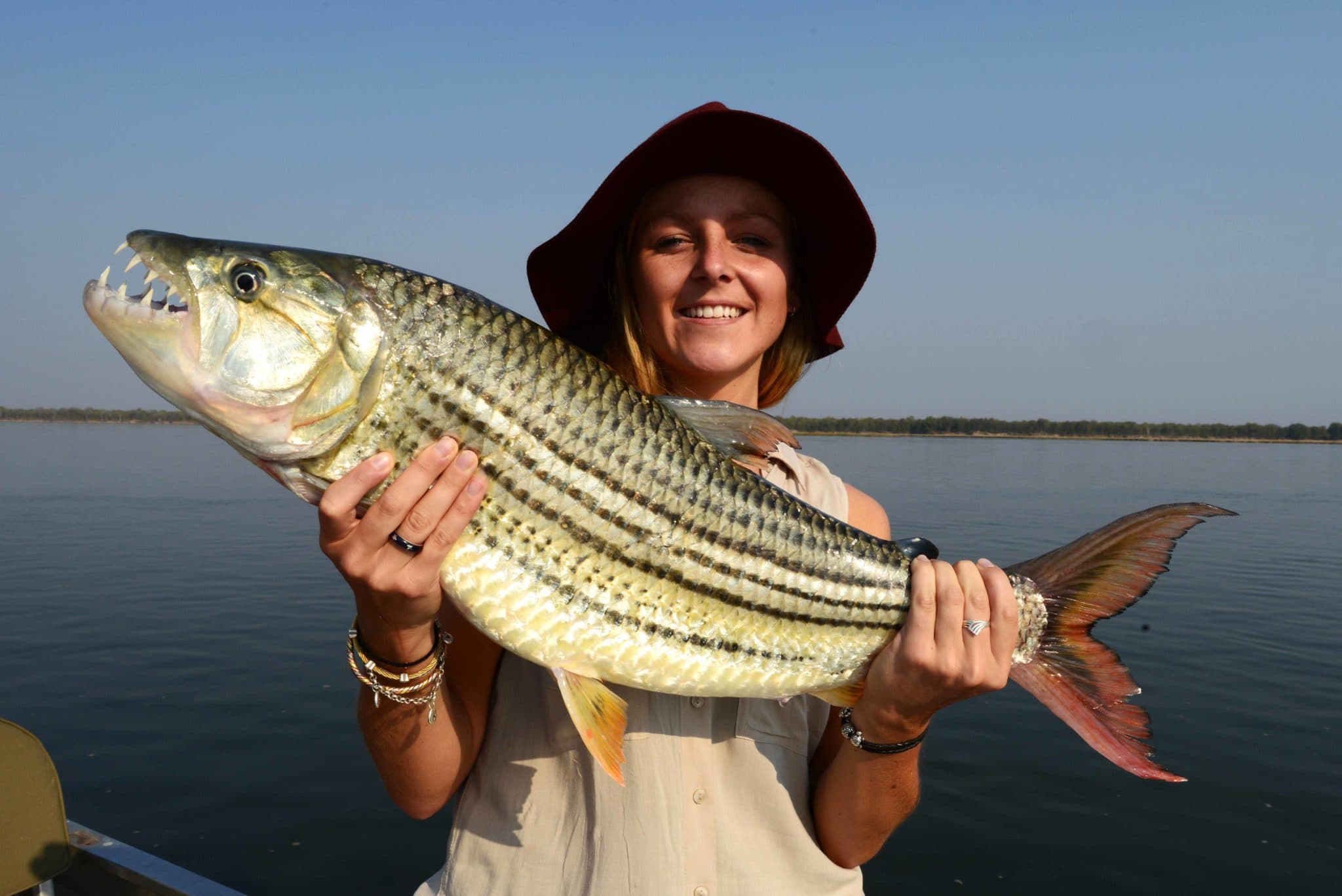 Tiger Fishing