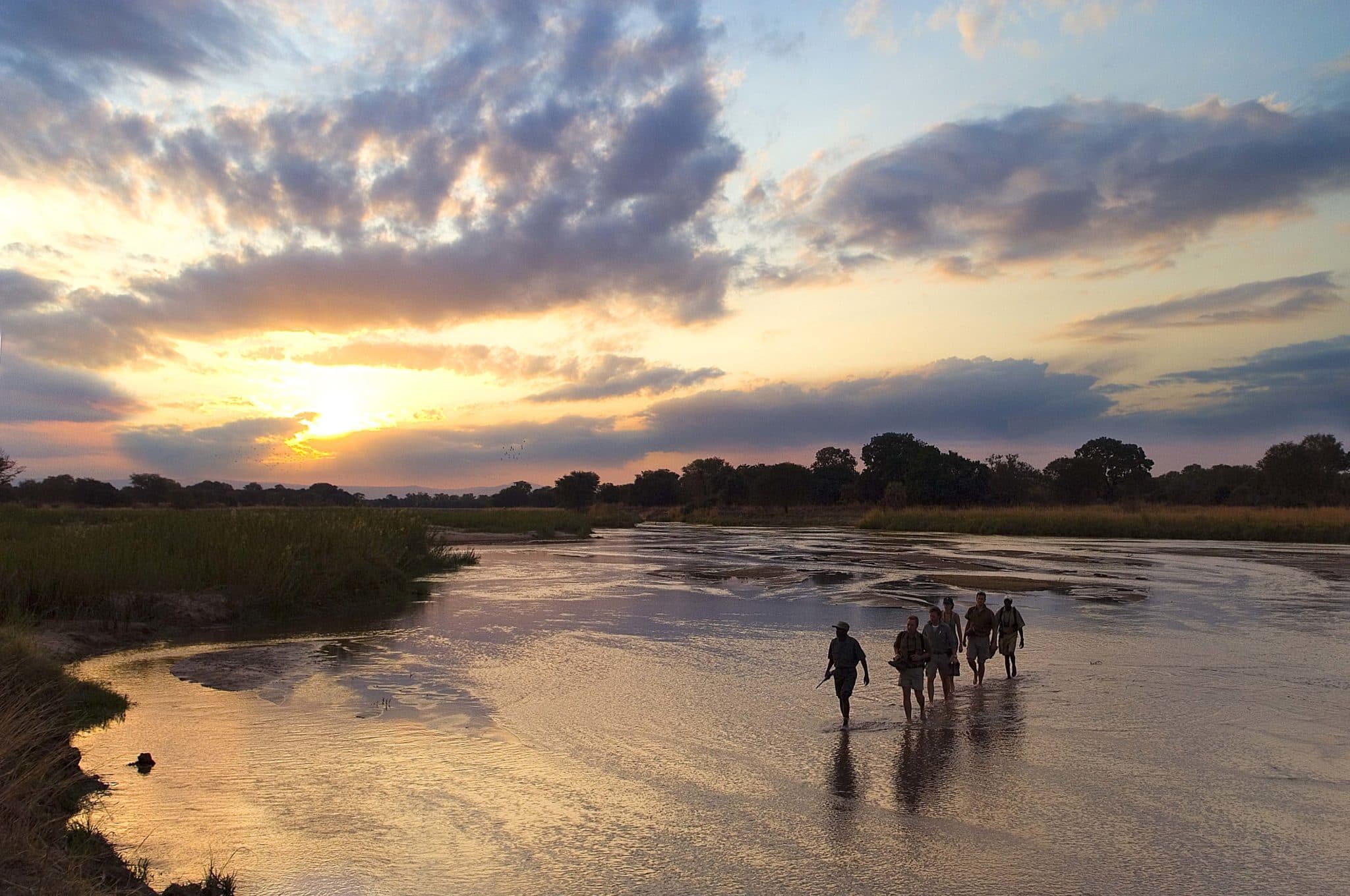 Zambian Walking Safaris
