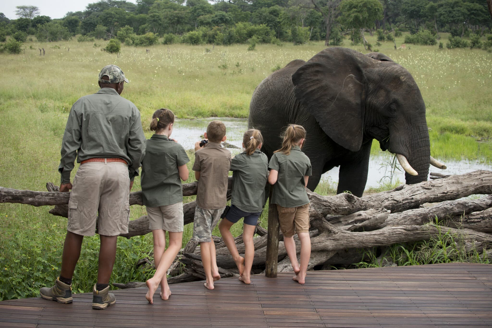 Hwange National Park