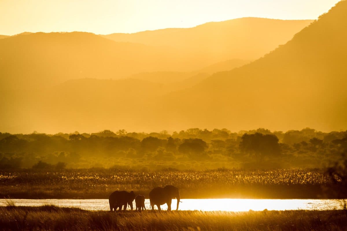 Zambezi Canoe Safaris