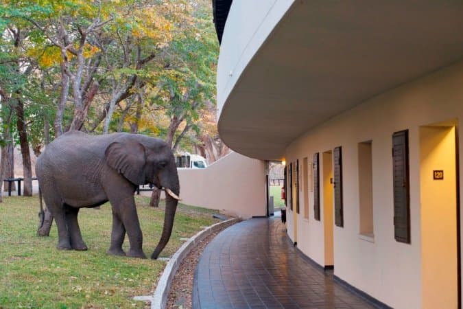 Falls and Hwange