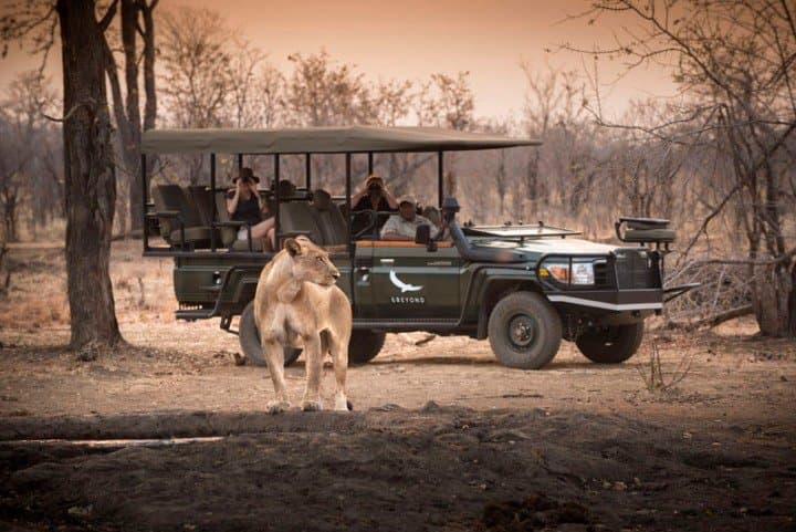 Your Safari Questions, Answered: A Practical FAQ