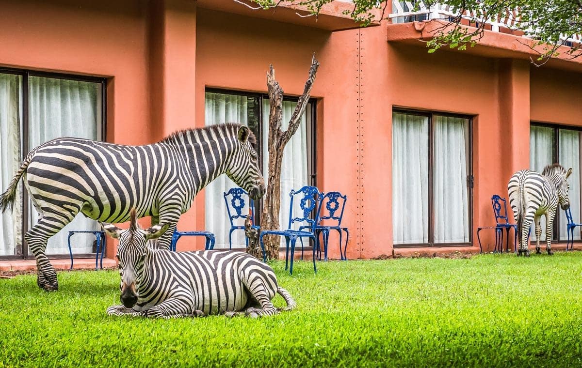 Avani Victoria Falls Resort
