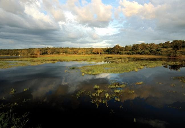 Chobe Day Trip from Victoria Falls