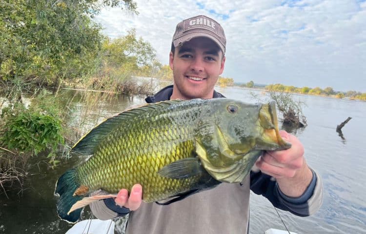Zambezi River Fishing