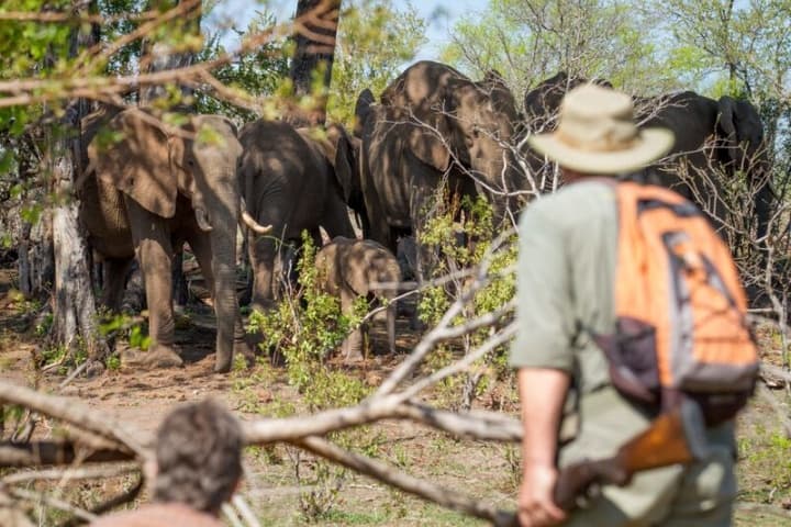 Zambezi National Park Safaris & Guided Photographic Tours