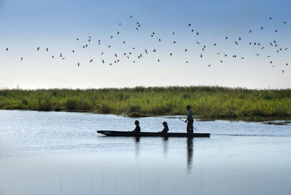 Upper Zambezi Canoeing (Day Trip)