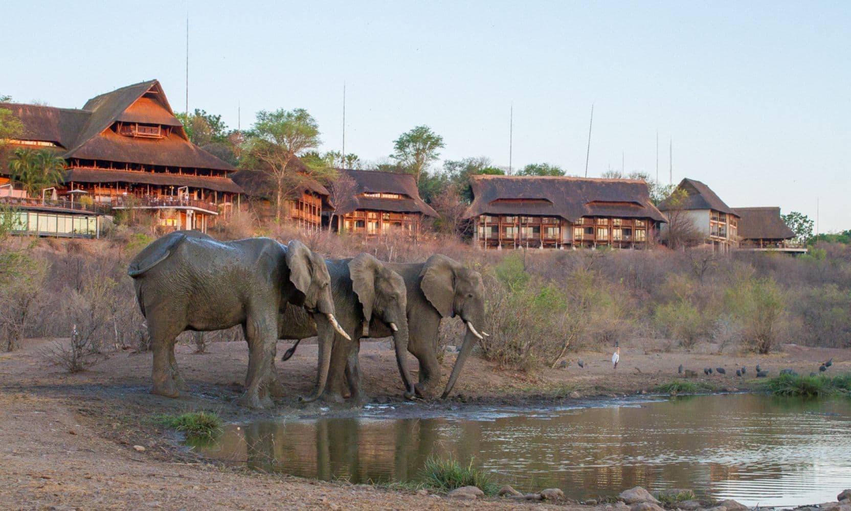 Siduli Hide — Waterhole Photographic Hide