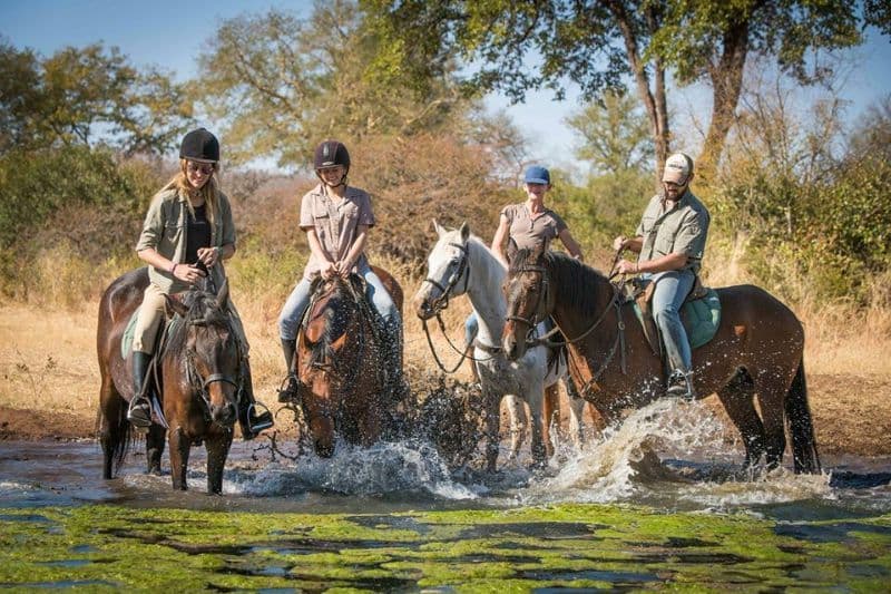 Horseback Safari on the Zambezi