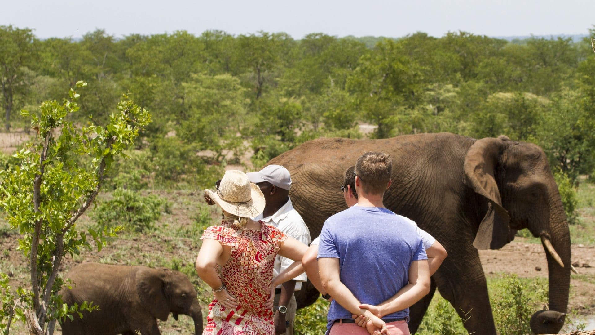 Elephant Encounter at the Wild Horizons Sanctuary