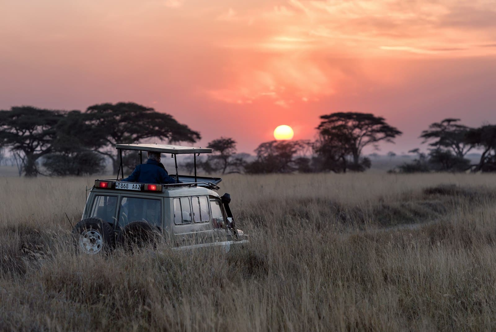 National Park vs. Private Reserve: Which Safari is Right for You?