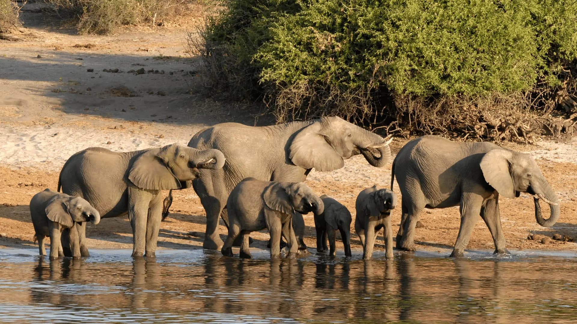 Falls and Western Chobe
